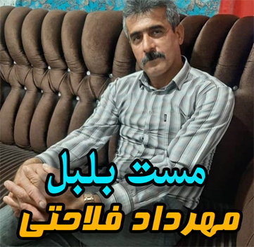 مهرداد فلاحتی مستی بلبل